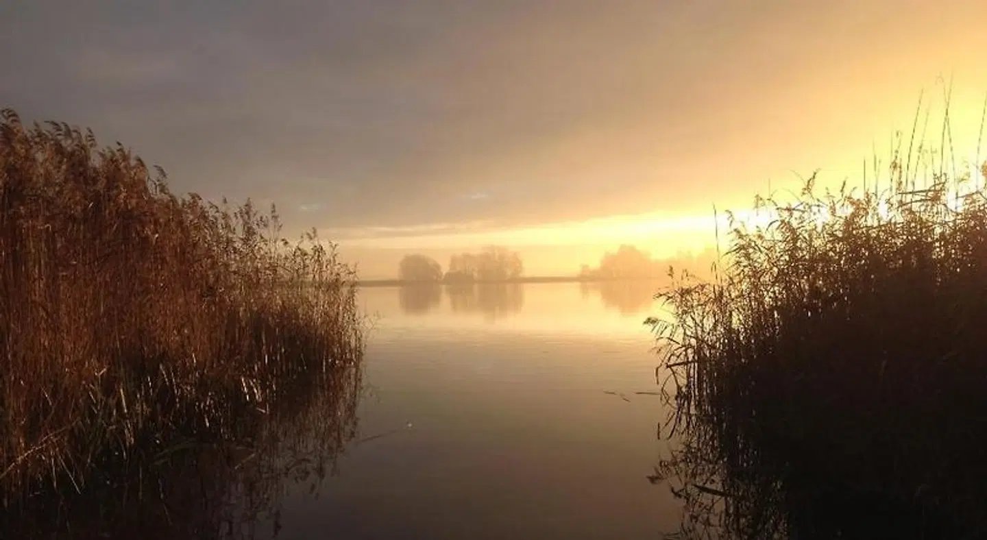 B&B De Hofstee LANDSCAPE