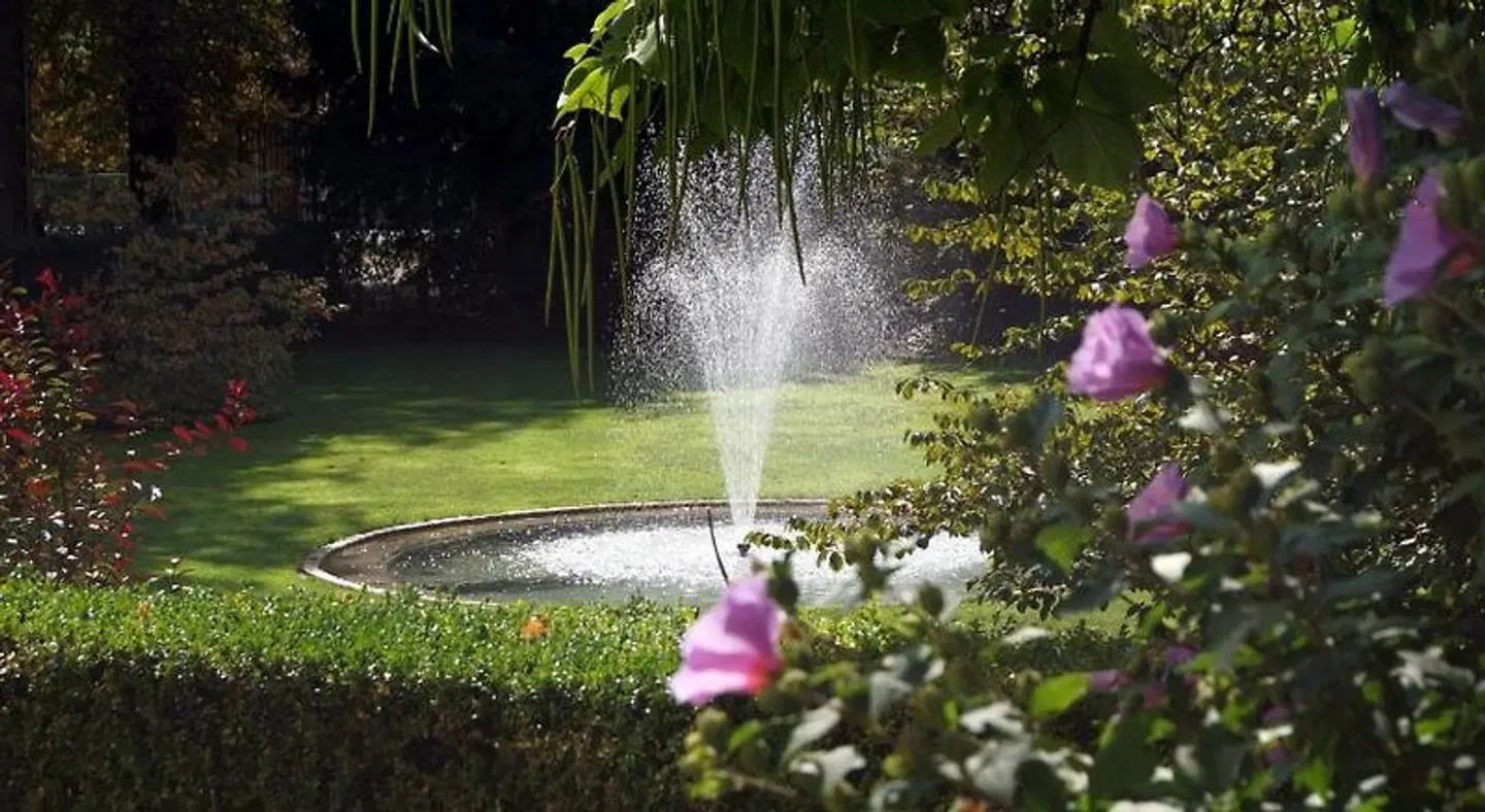 Villa Wittstock Garten