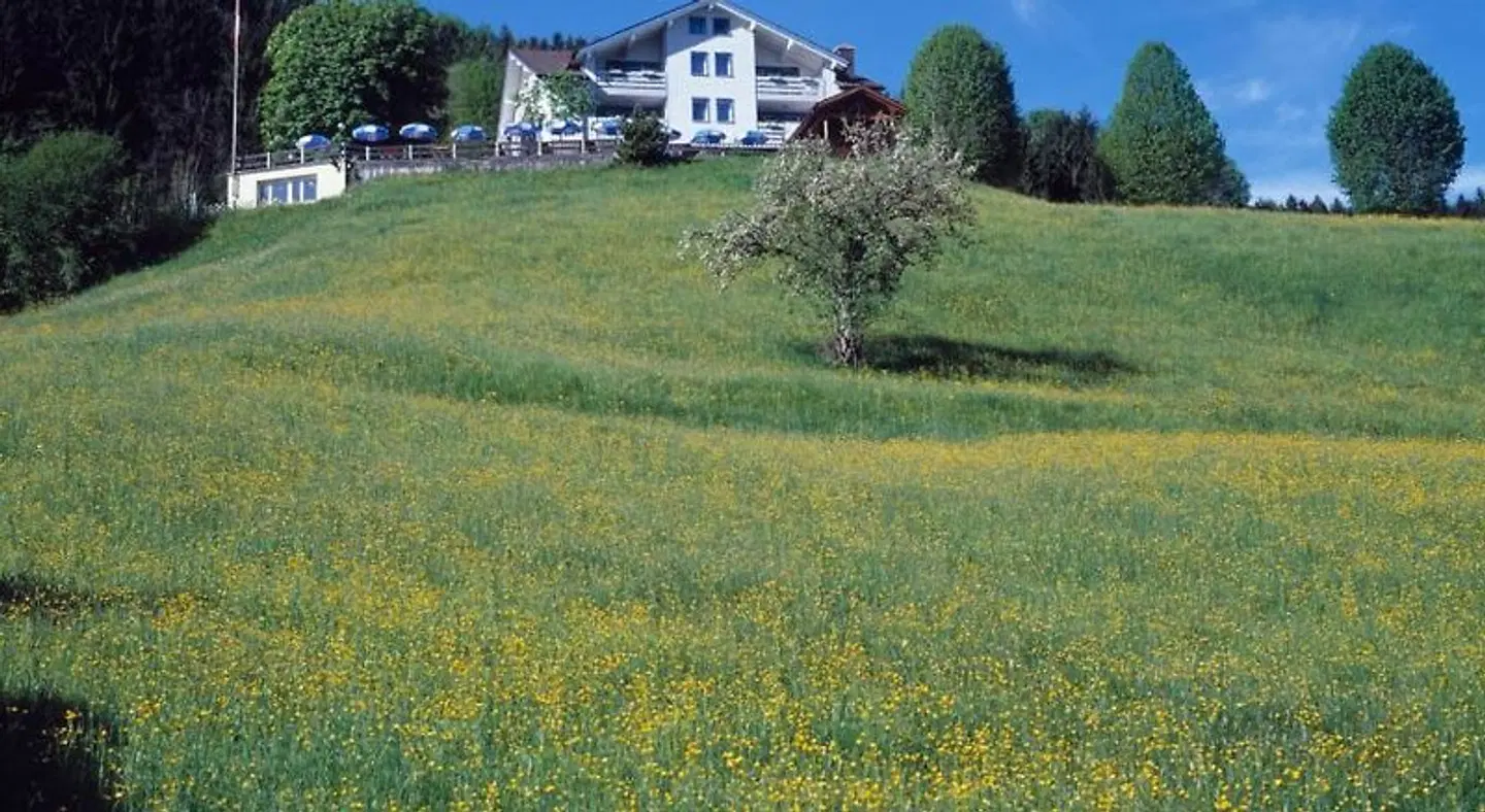 Freudenberg Garten