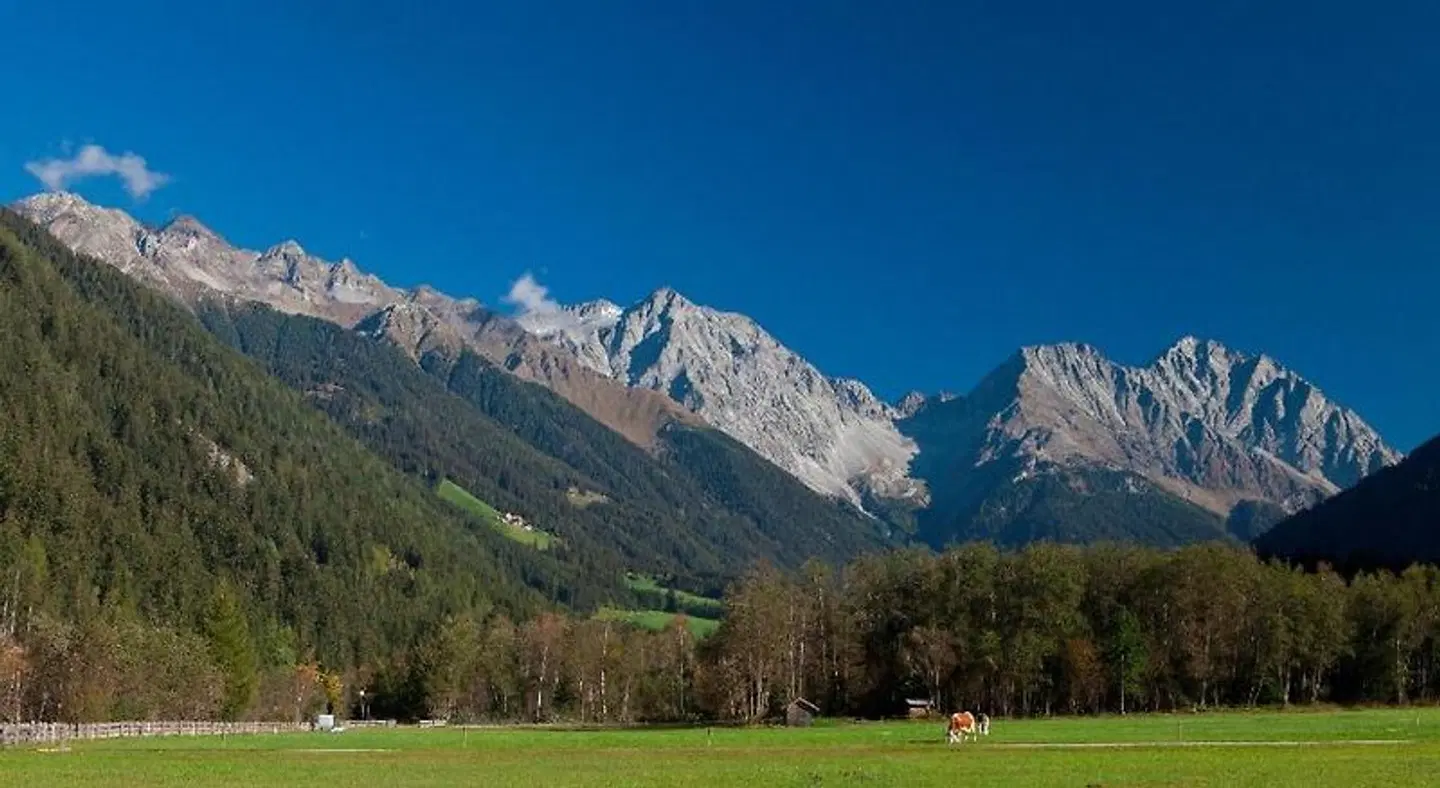 Gasthof Lechner LANDSCAPE