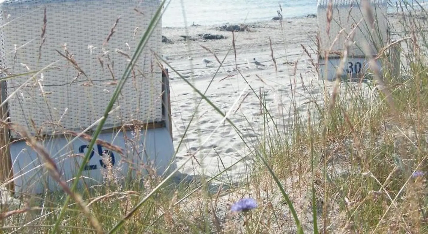 Am Strand LANDSCAPE