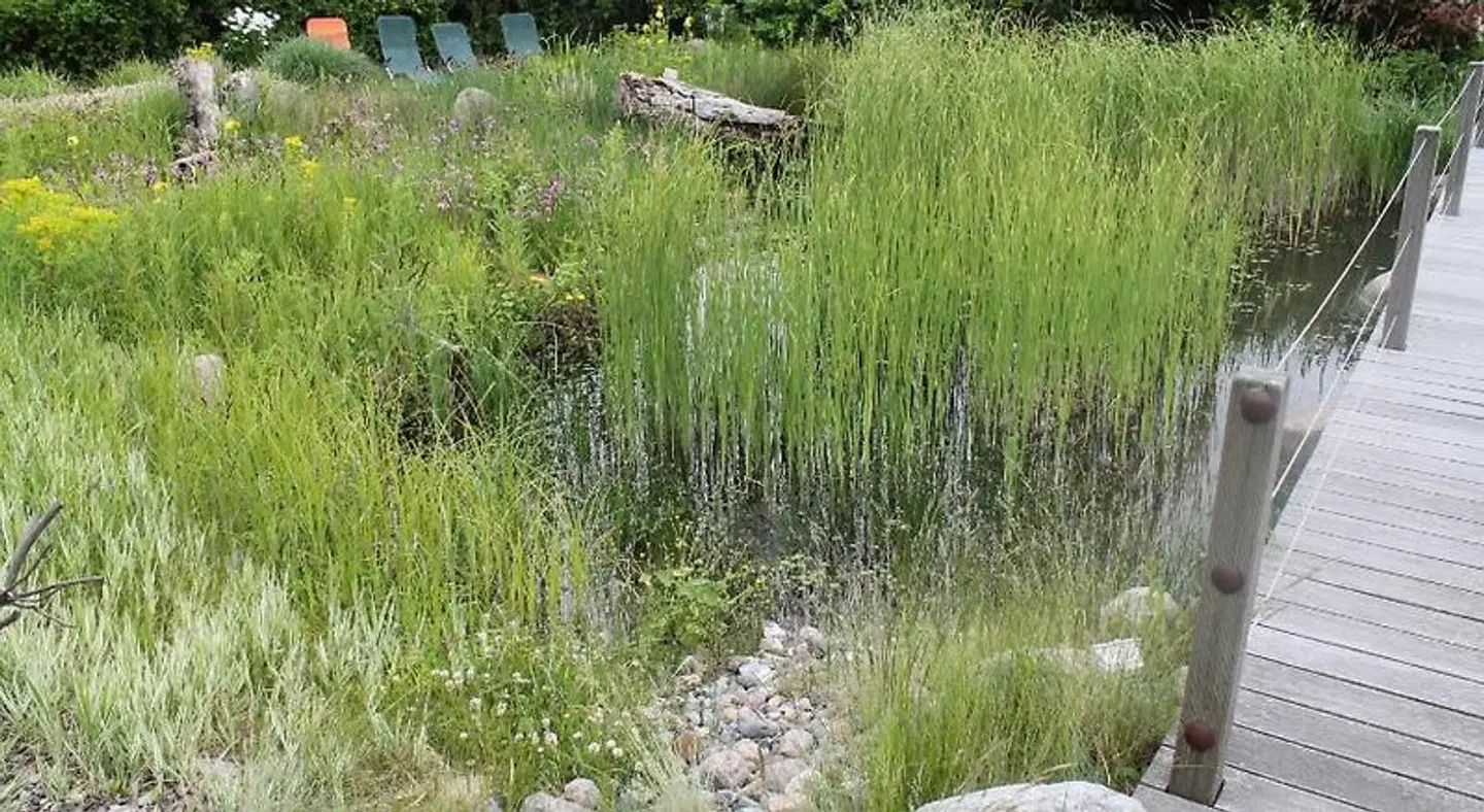 Kap Arkona LANDSCAPE