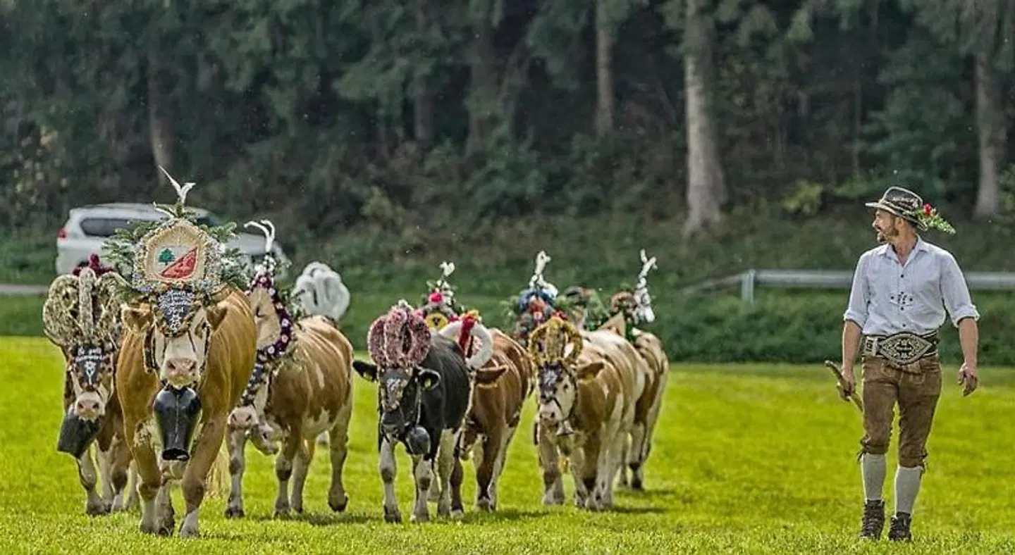 Bauernhof Neubauhof Tiere