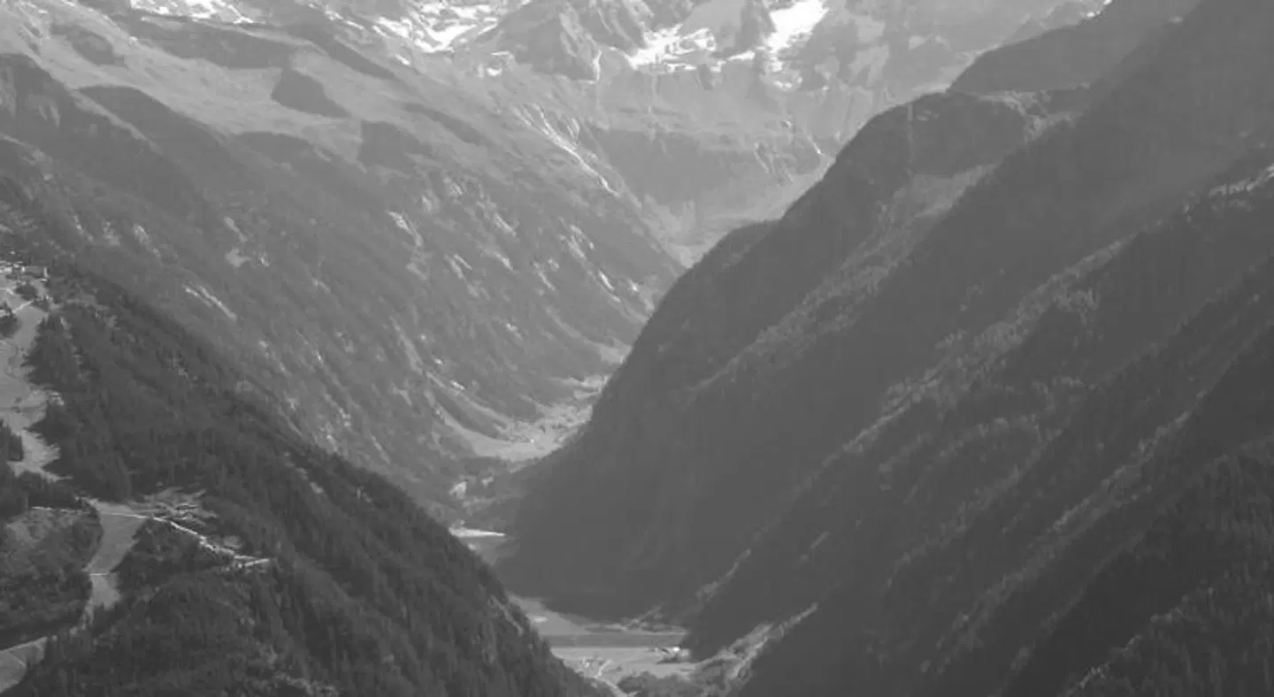 Edelweiß LANDSCAPE