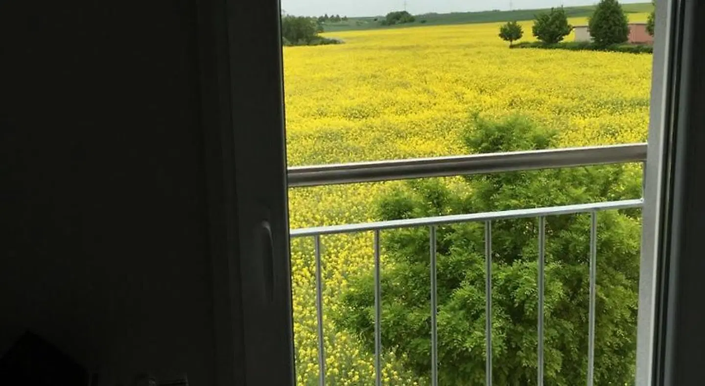 Landhaus Bennstedt LANDSCAPE