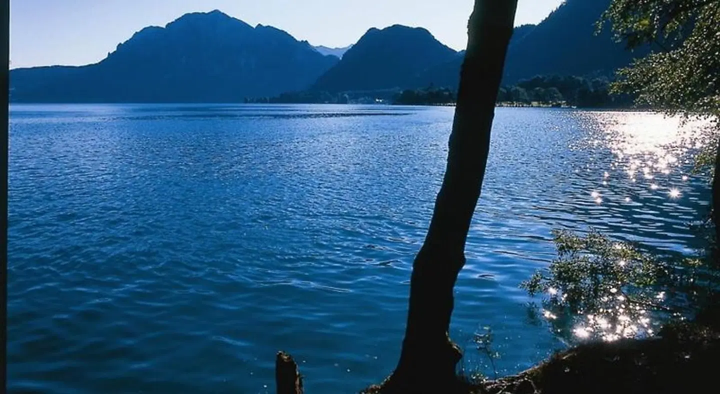 Landgasthof Spitzerwirt LANDSCAPE