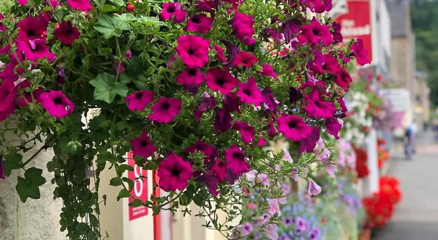 Highland Guest House LANDSCAPE