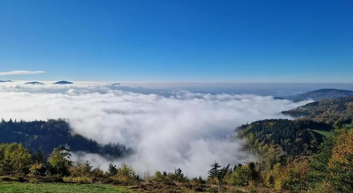 Eventhof Platzhirsch LANDSCAPE