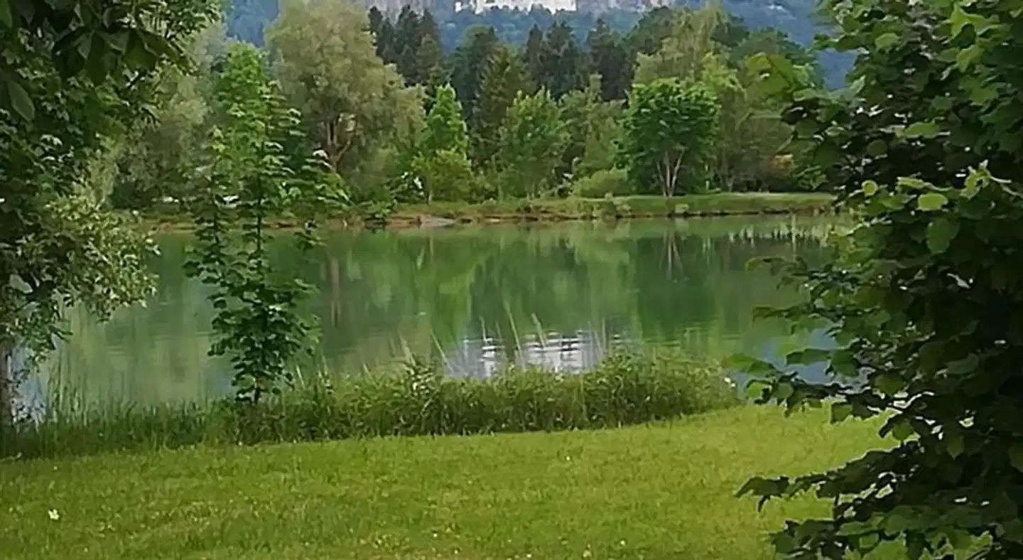 House L.A Landschaft