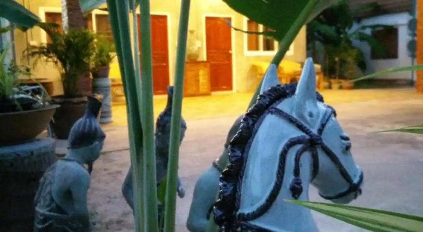 Pottery Street House Tiere