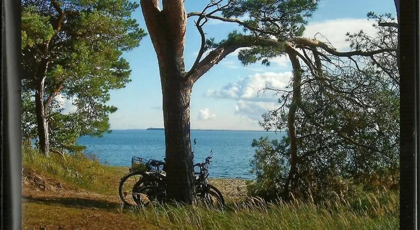Pension Fröhlich LANDSCAPE