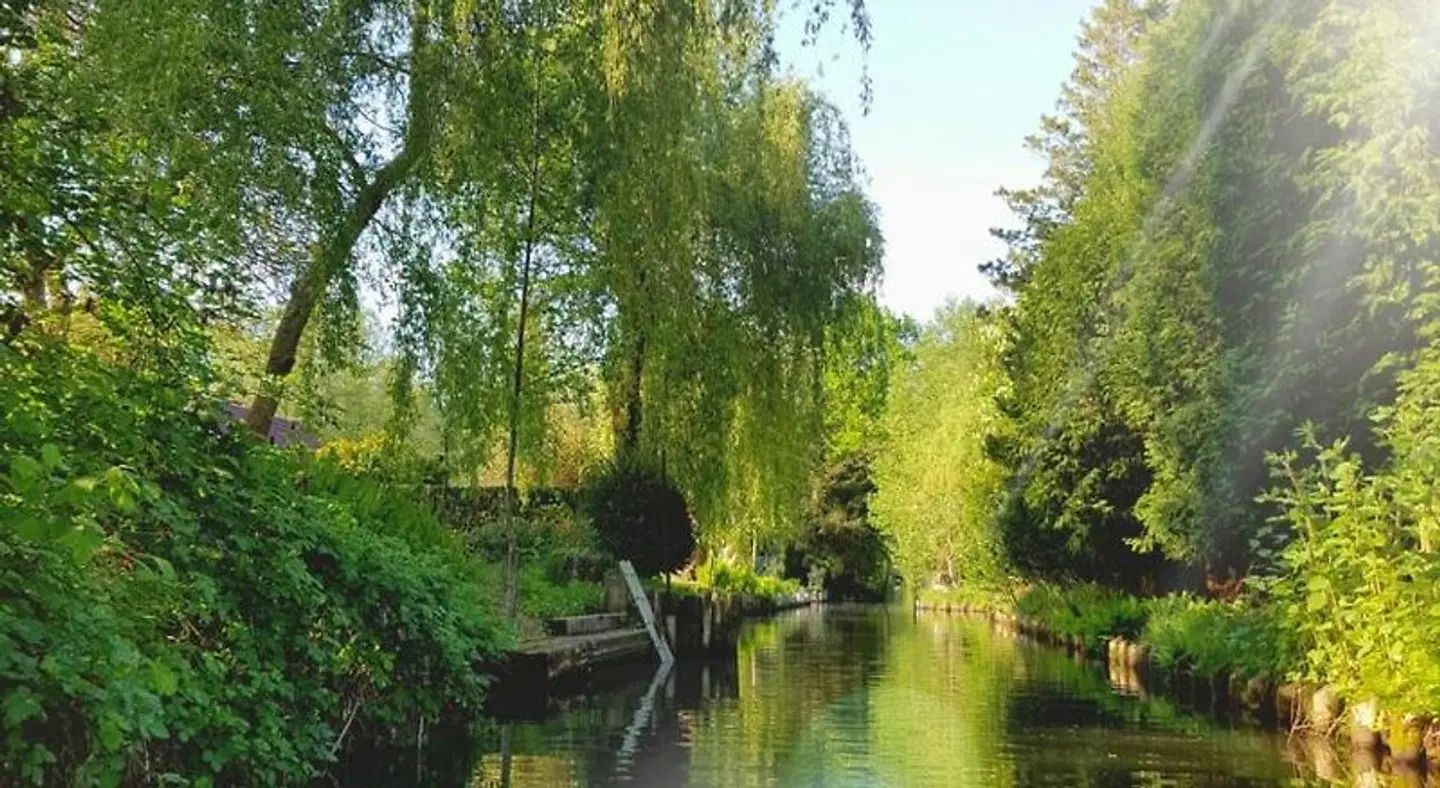 Radlerhof Spreewald LANDSCAPE