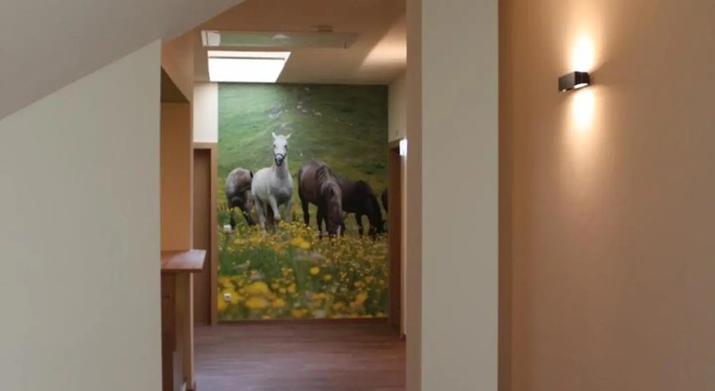Hotel Braun Tiere