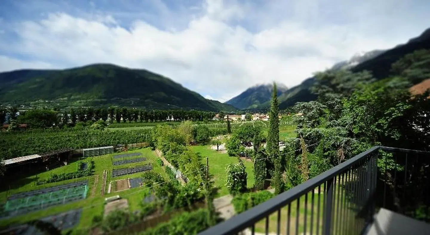Villa Sasso LANDSCAPE