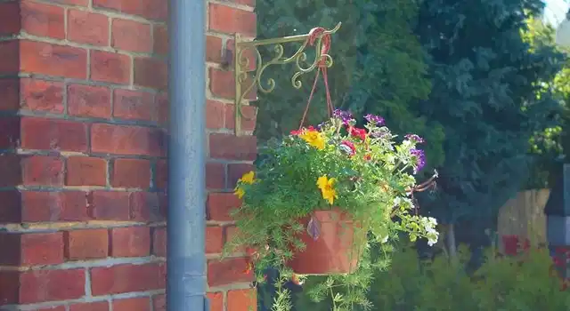 Pension Zum Alten Schulhaus Aussenansicht