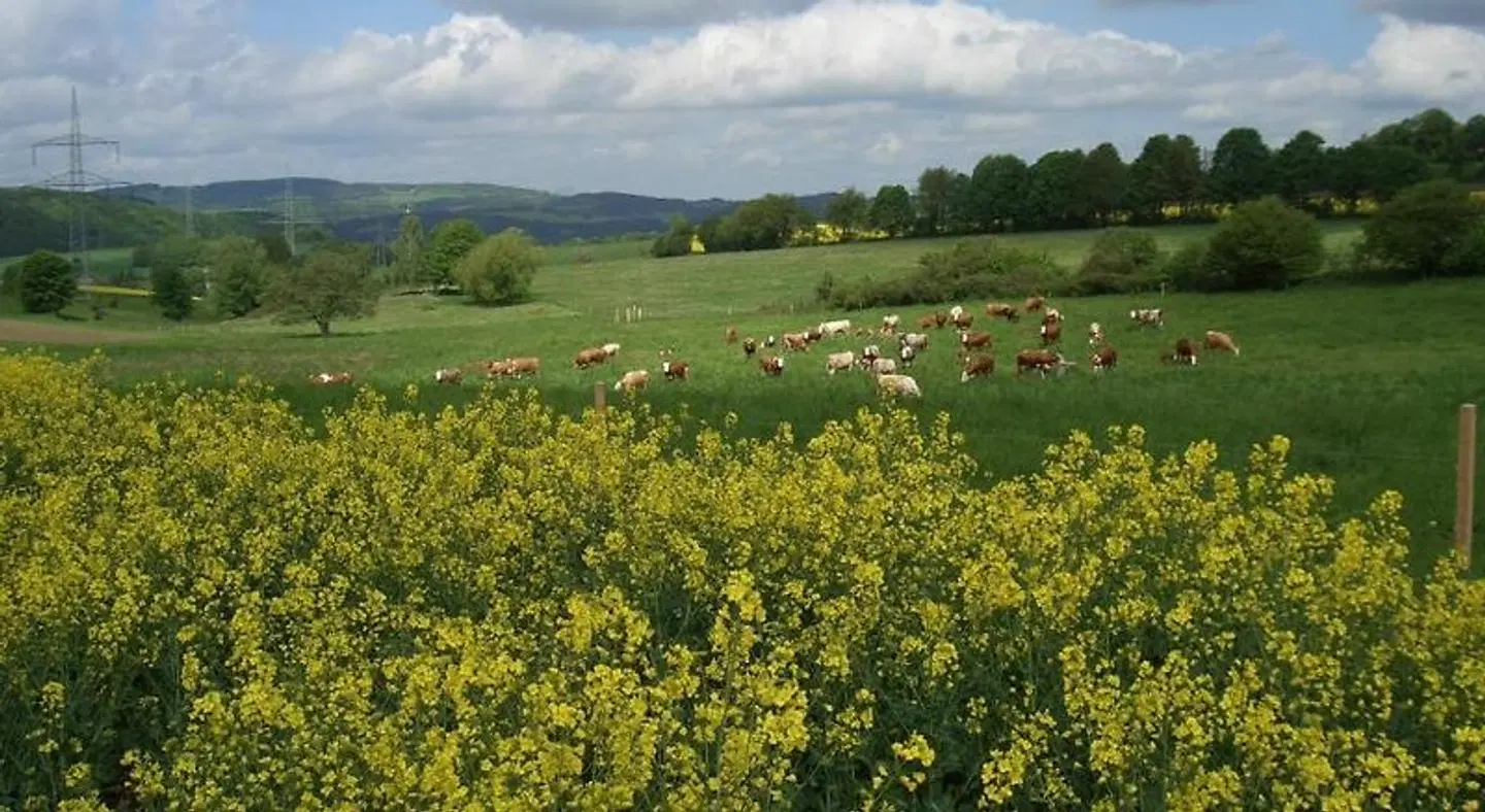 Ferienwohnung im Erzgebirge LANDSCAPE