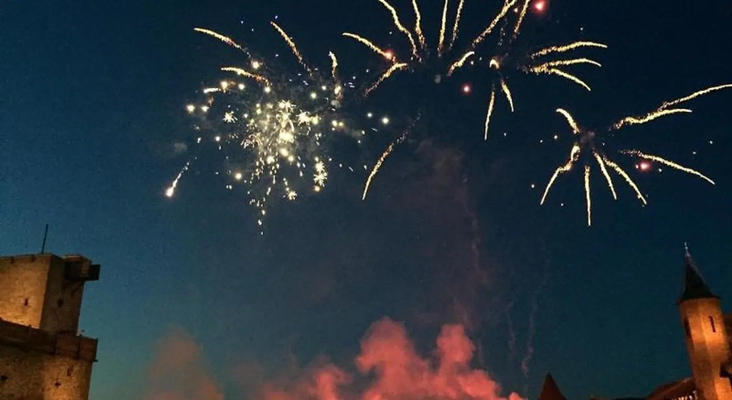 Gasthaus & Pension Zur Schaabe Tiere