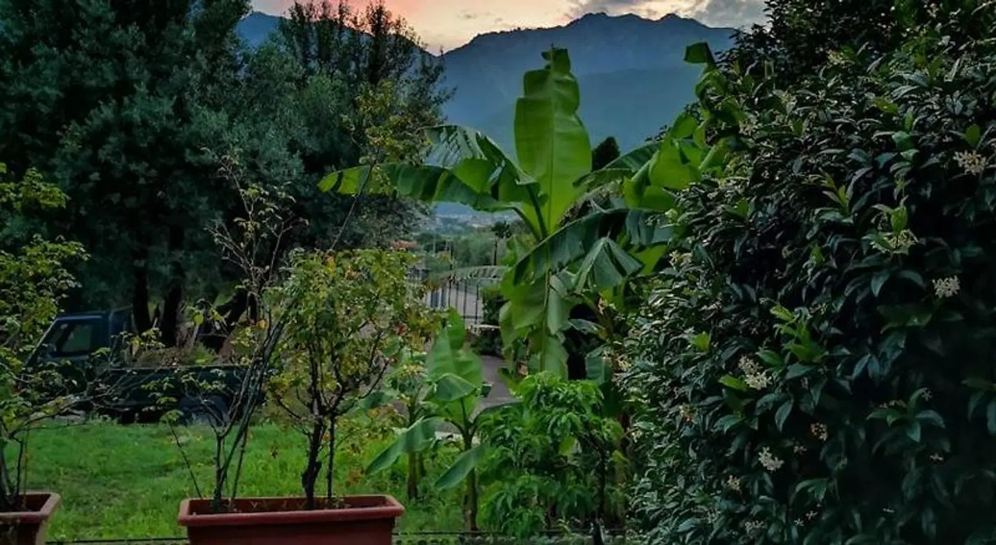 B&B Esmeralda Garten
