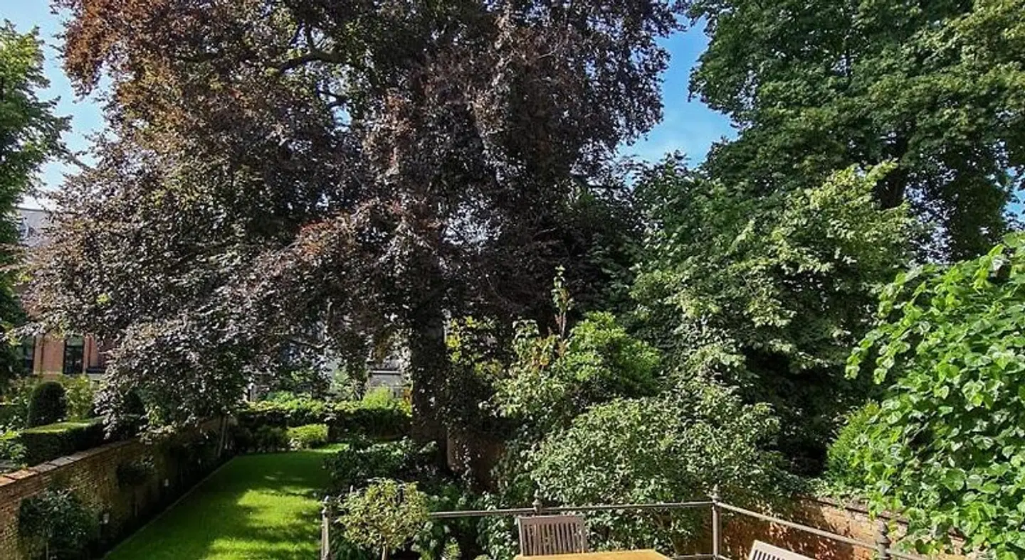 The Old Beech Garten