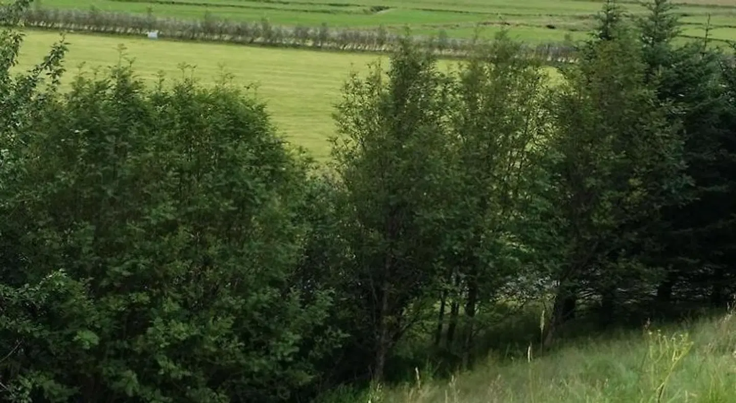 Giljur Guesthouse LANDSCAPE