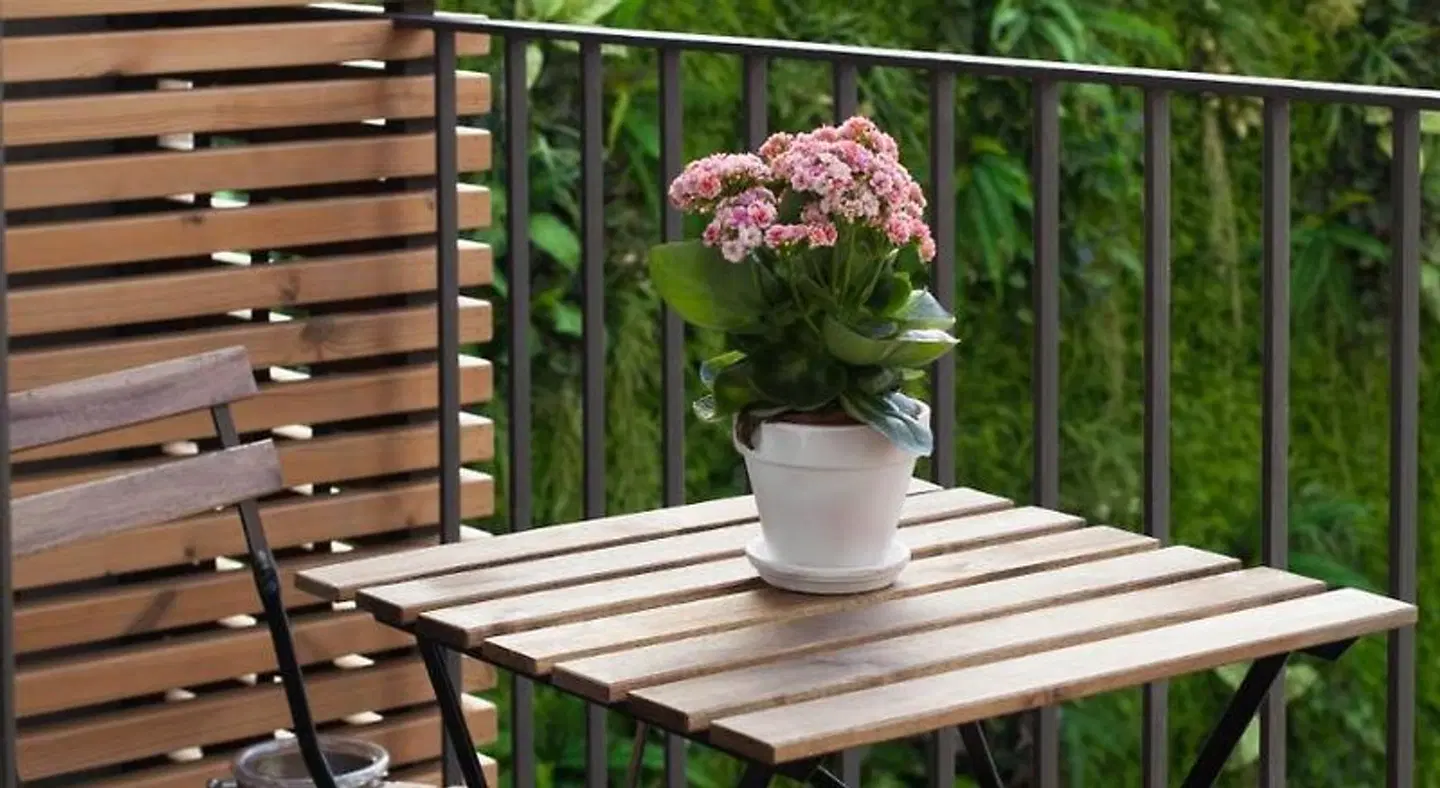 7g Roaster Apartments Terrasse
