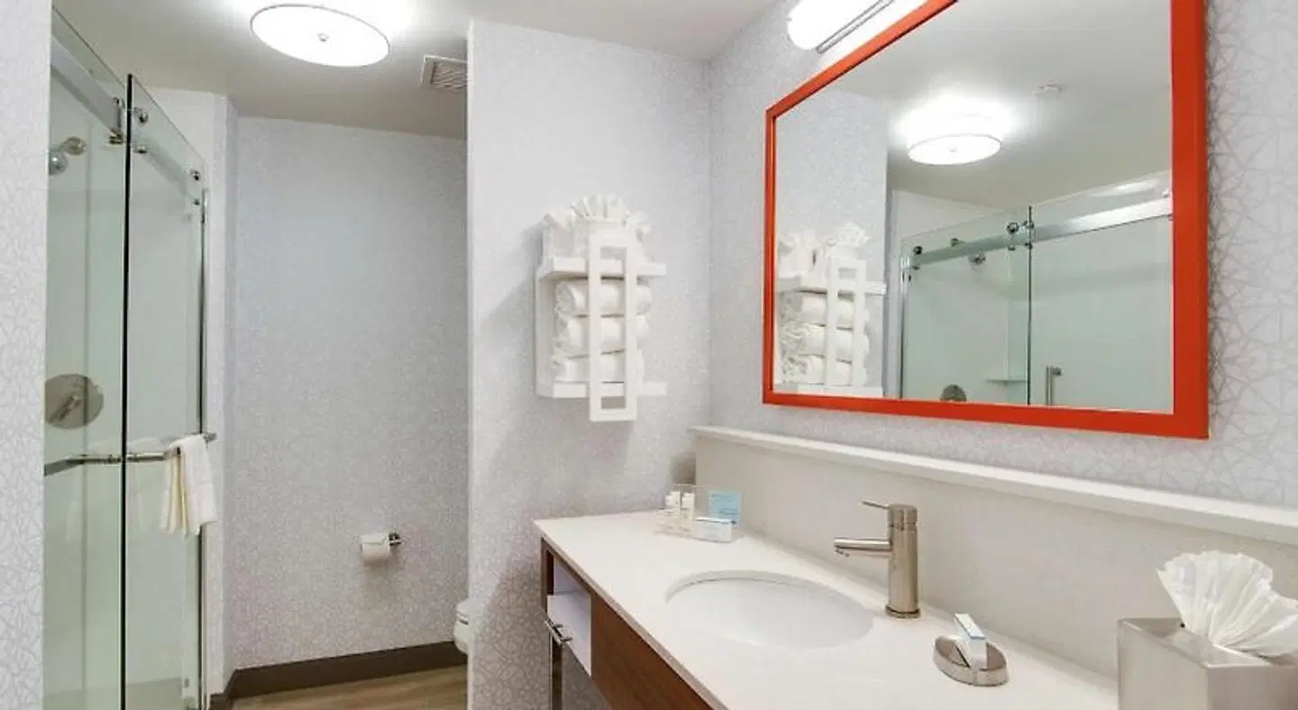 Hampton Inn & Suites Nashville North Skyline Badezimmer