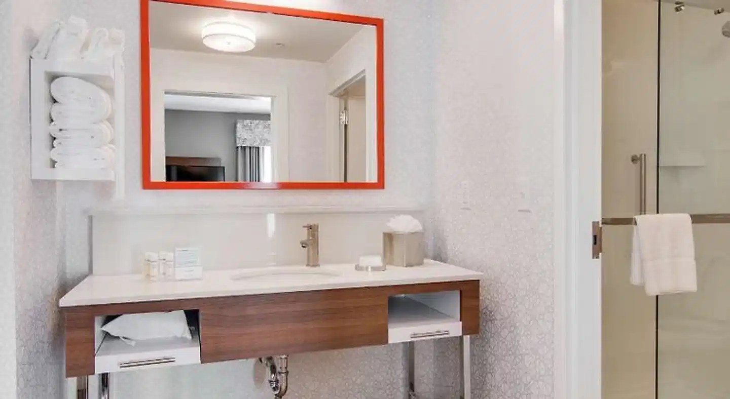 Hampton Inn & Suites Nashville North Skyline Badezimmer