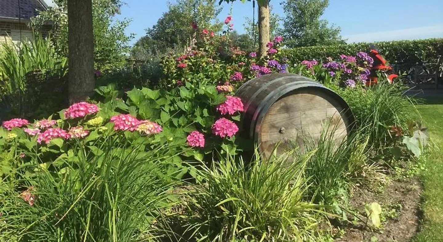 B&B Zonnedauw Garten