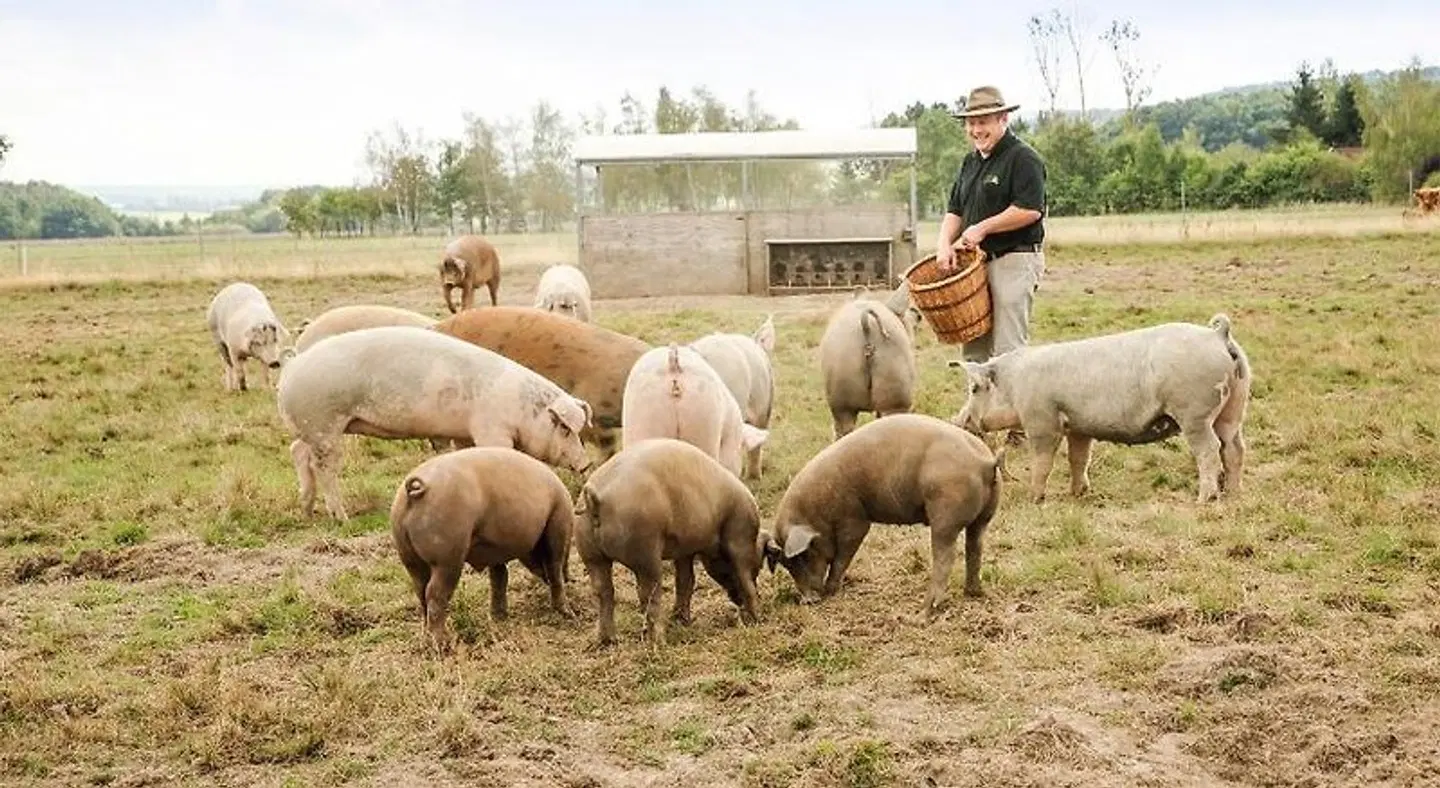 Landgasthof Zur Tanne Tiere