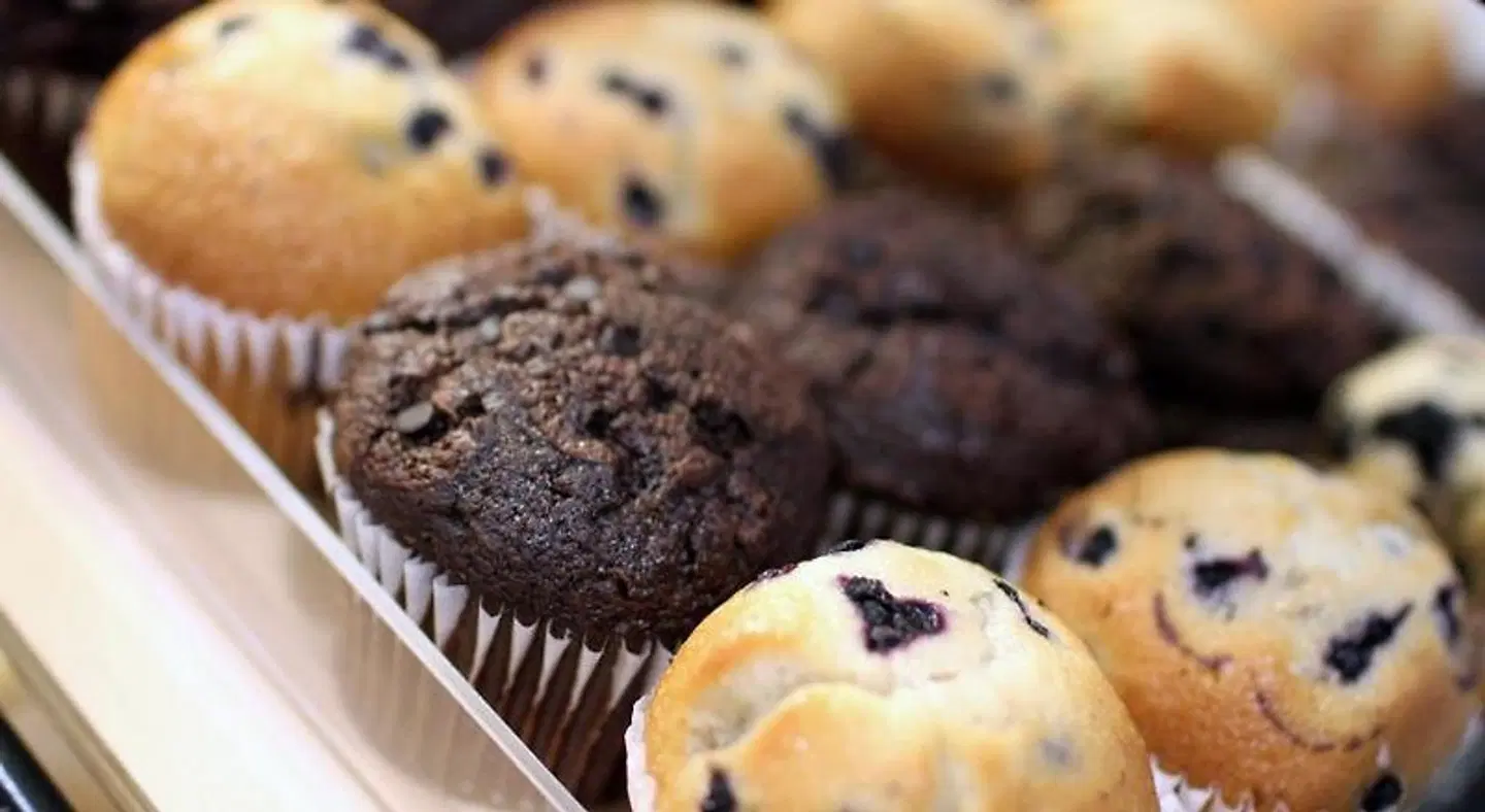 Holiday Inn Express & Suites Ft. Washington - Philadelphia Tiere