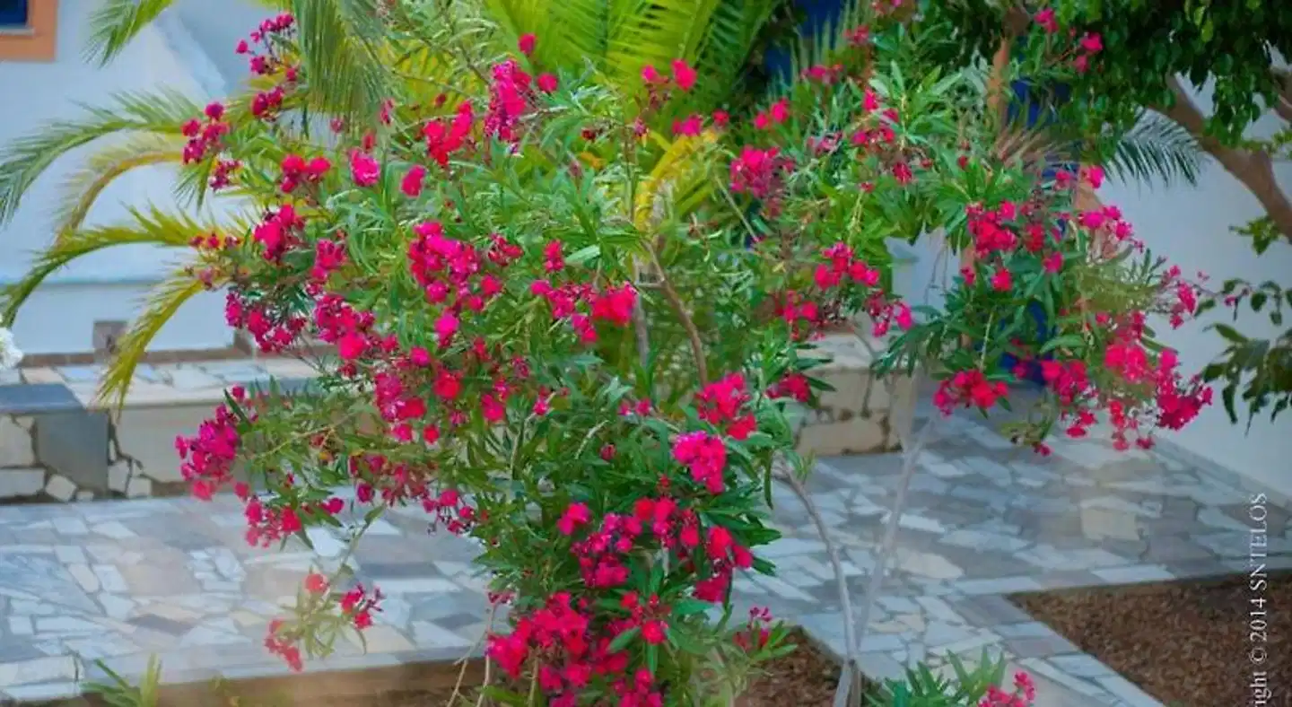 Stefanos Apartments Garten
