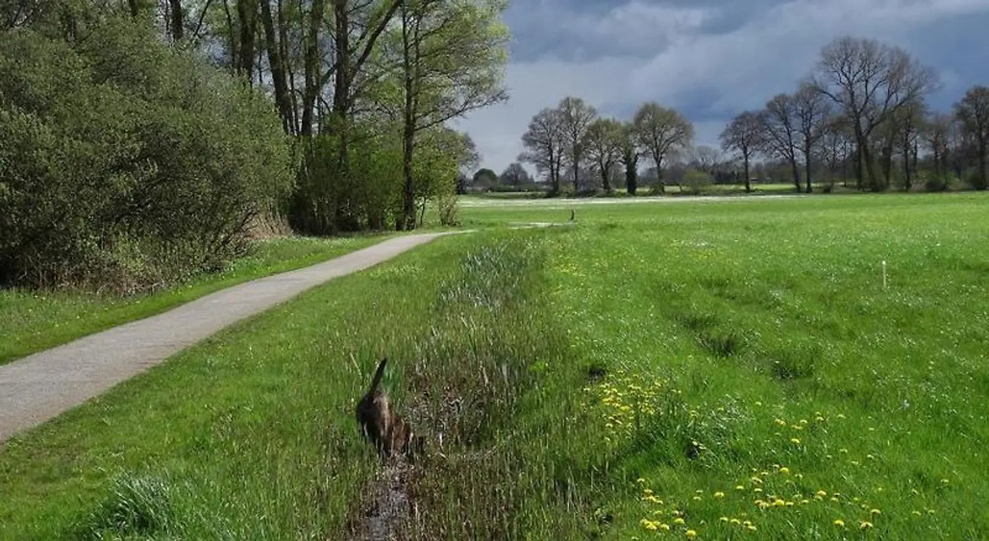 Brinkesdiek LANDSCAPE