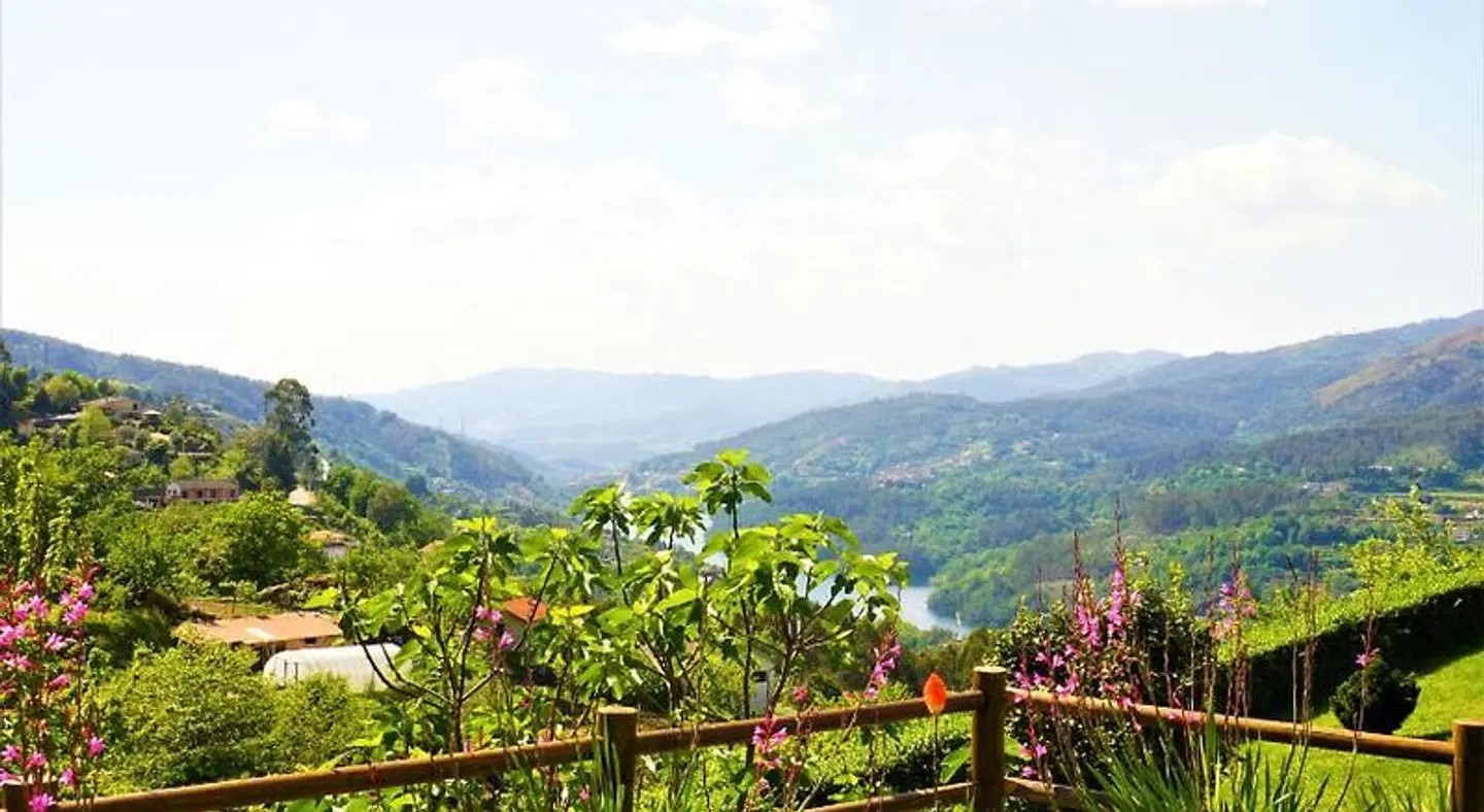 Quinta do Bento LANDSCAPE