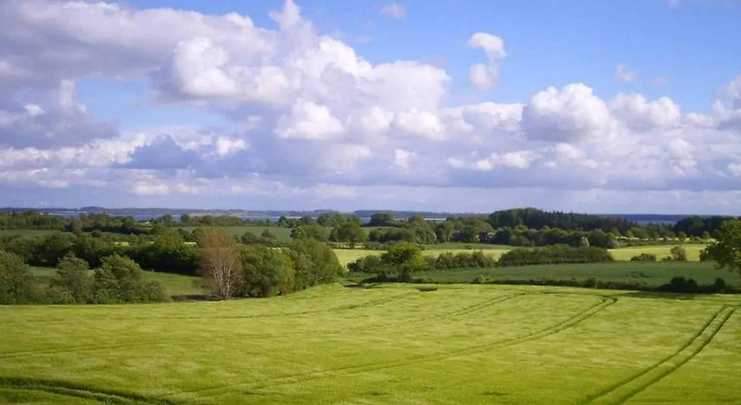 Waabs-Mühle LANDSCAPE