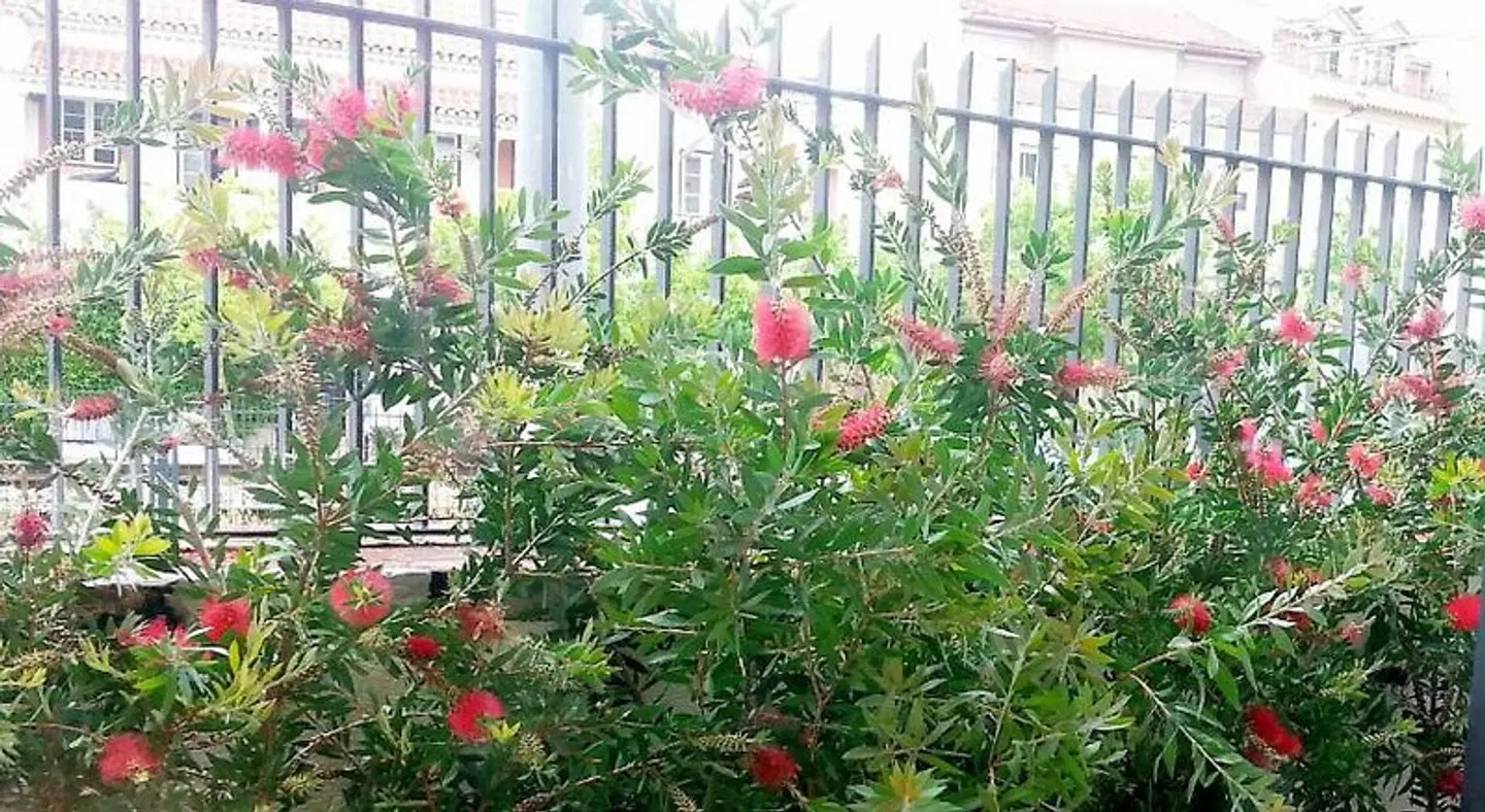 Bonvalot Guest House Garten