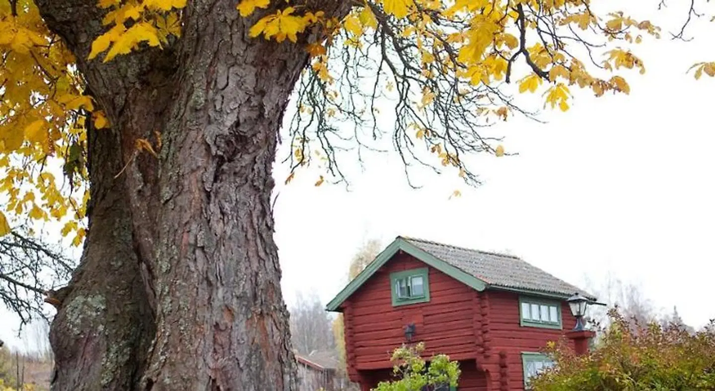 Tällbergsgårdens Hotell EXTERIOR