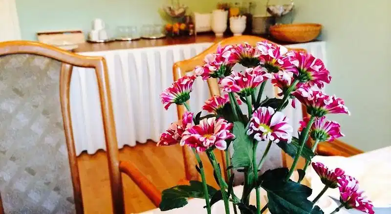 Pension an der Havelbucht – Hotelfoto