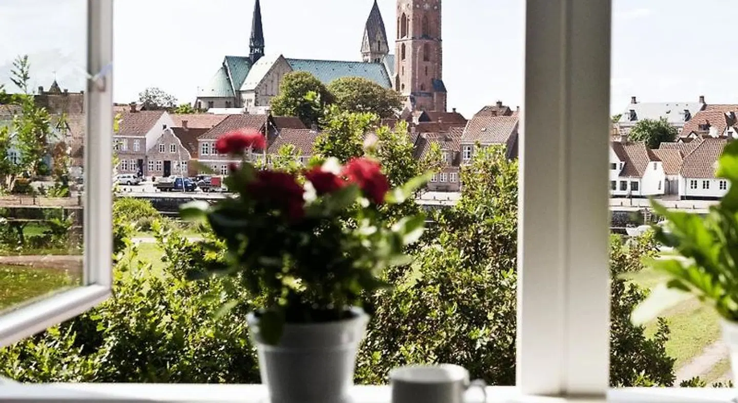 Danhostel Ribe Garten