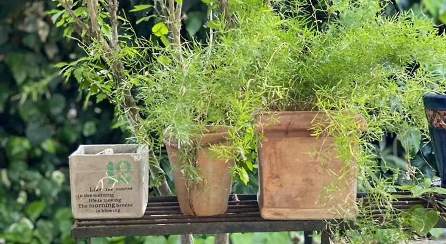 Hotel Spring OUTDOOR_POOL