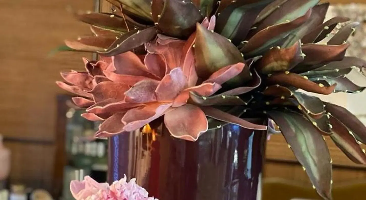 Hotel Spring HEALTH_BEAUTY