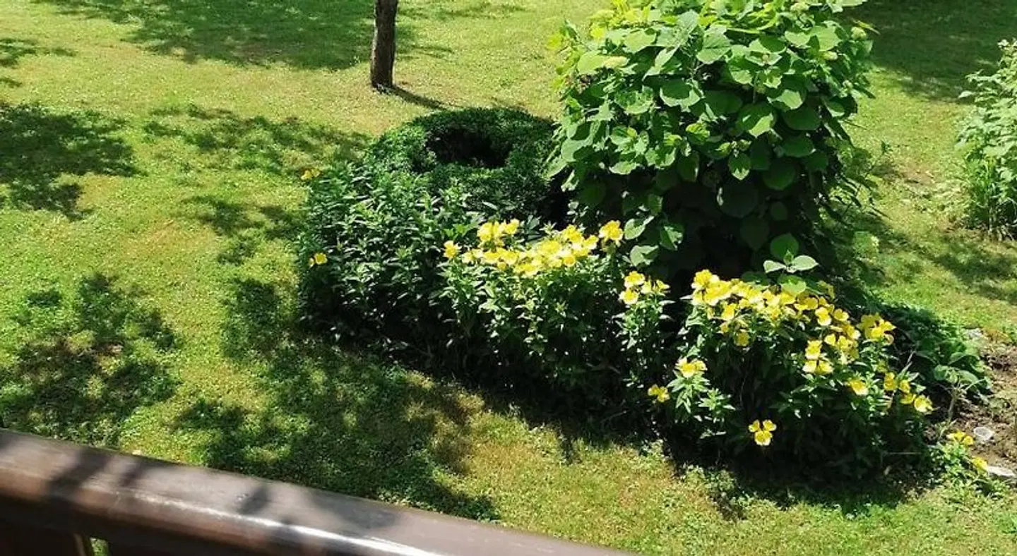 House Jezerka Garten