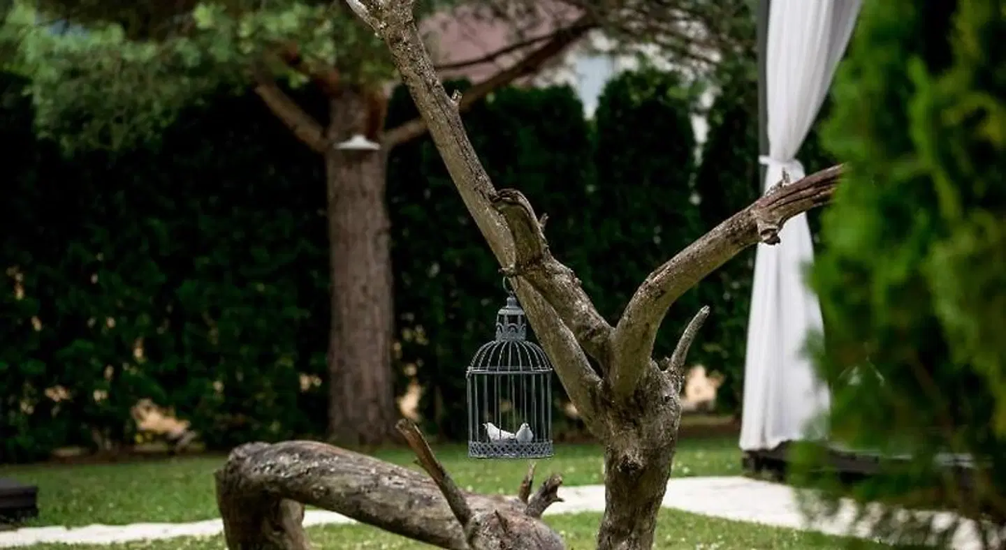 Guest house Oreskovic Tiere