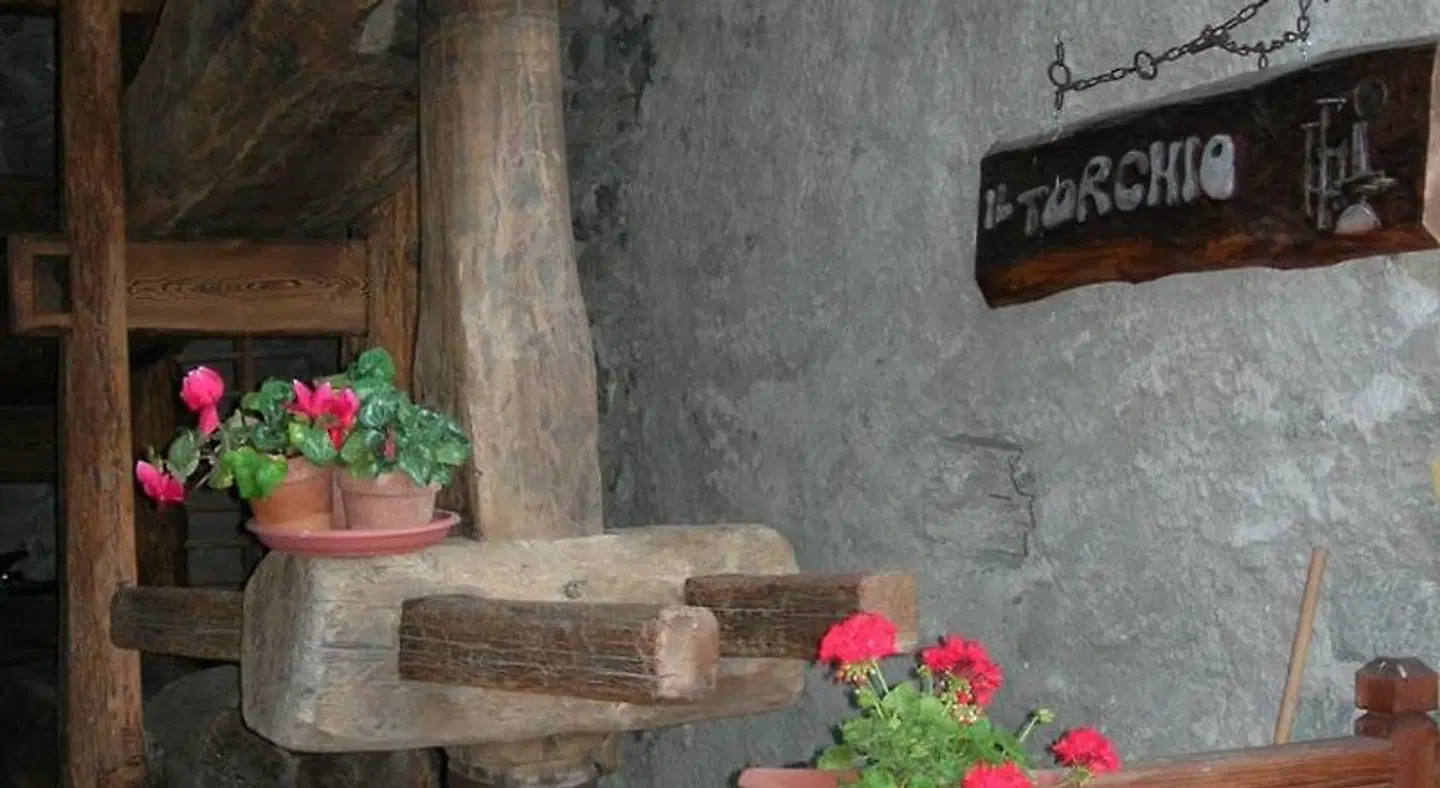 B&B Il Torchio EXTERIOR