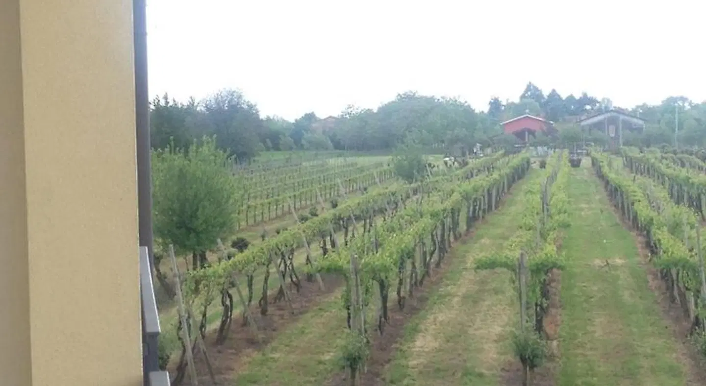 B&B Daniel LANDSCAPE