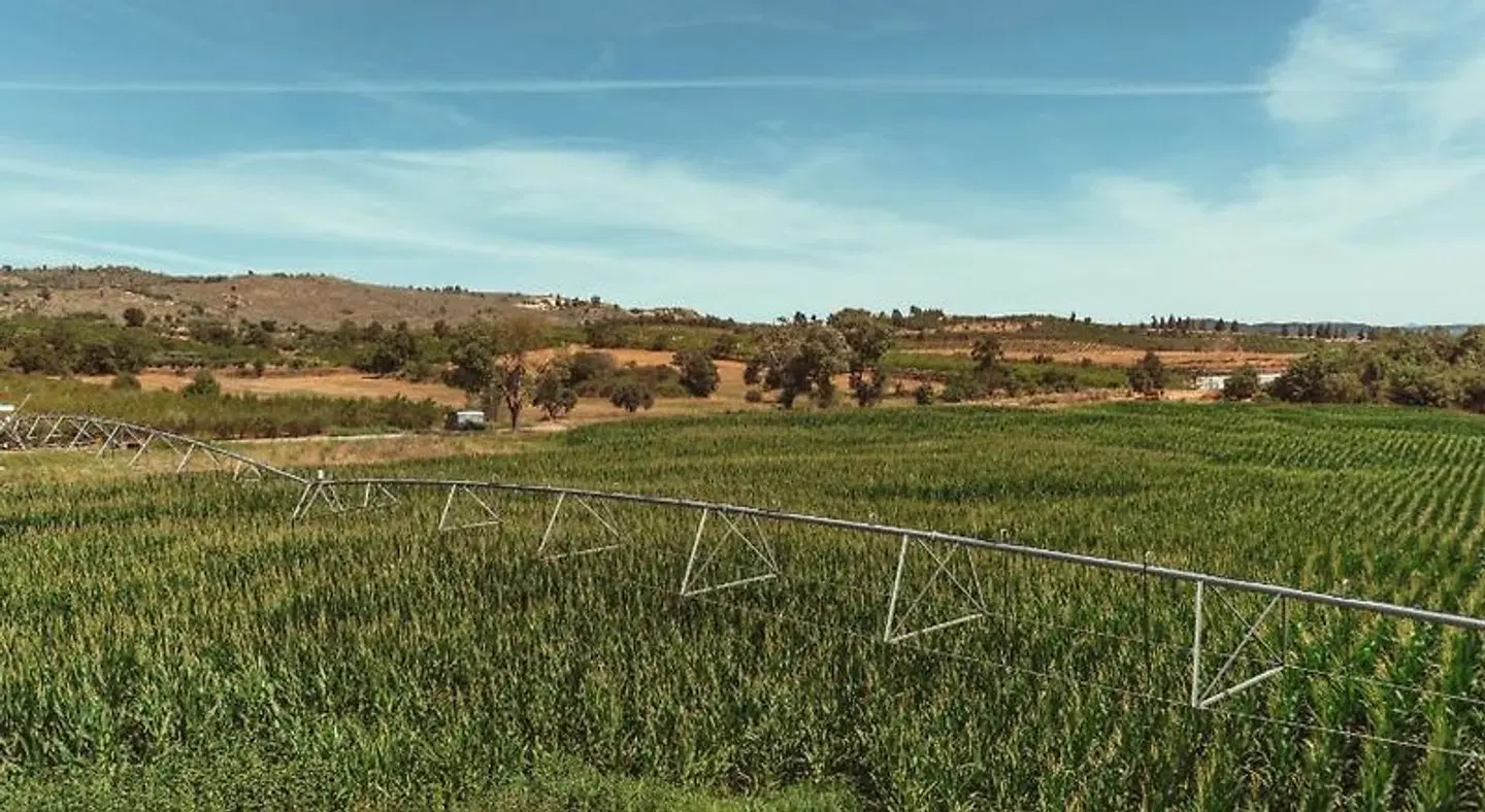 Quinta Ponte da Capinha LANDSCAPE
