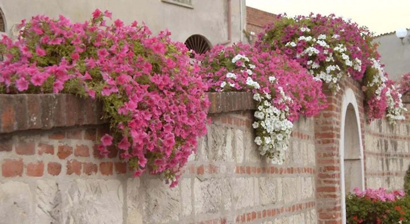 Benvenuti Altrove EXTERIOR