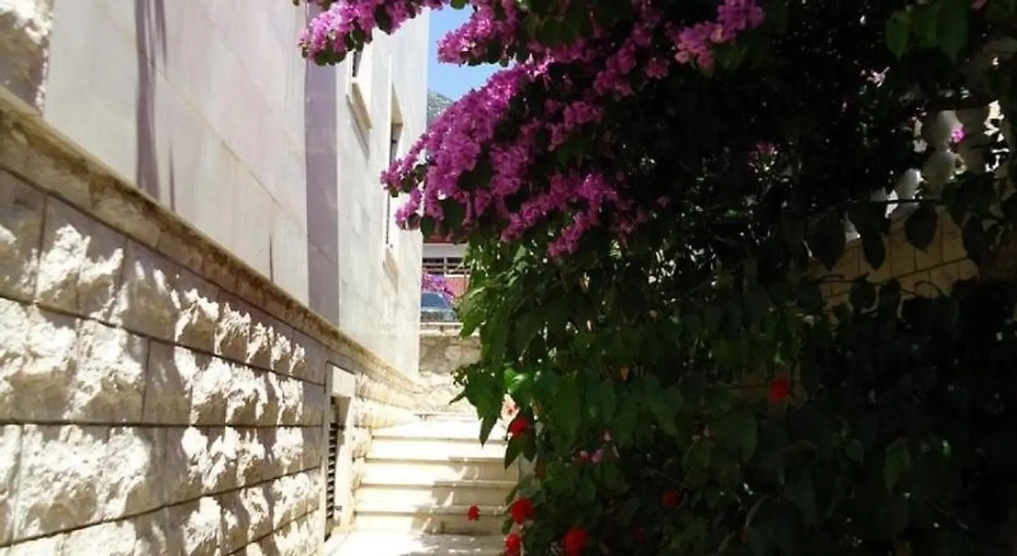 Apartments Villa Mirjana Terrasse