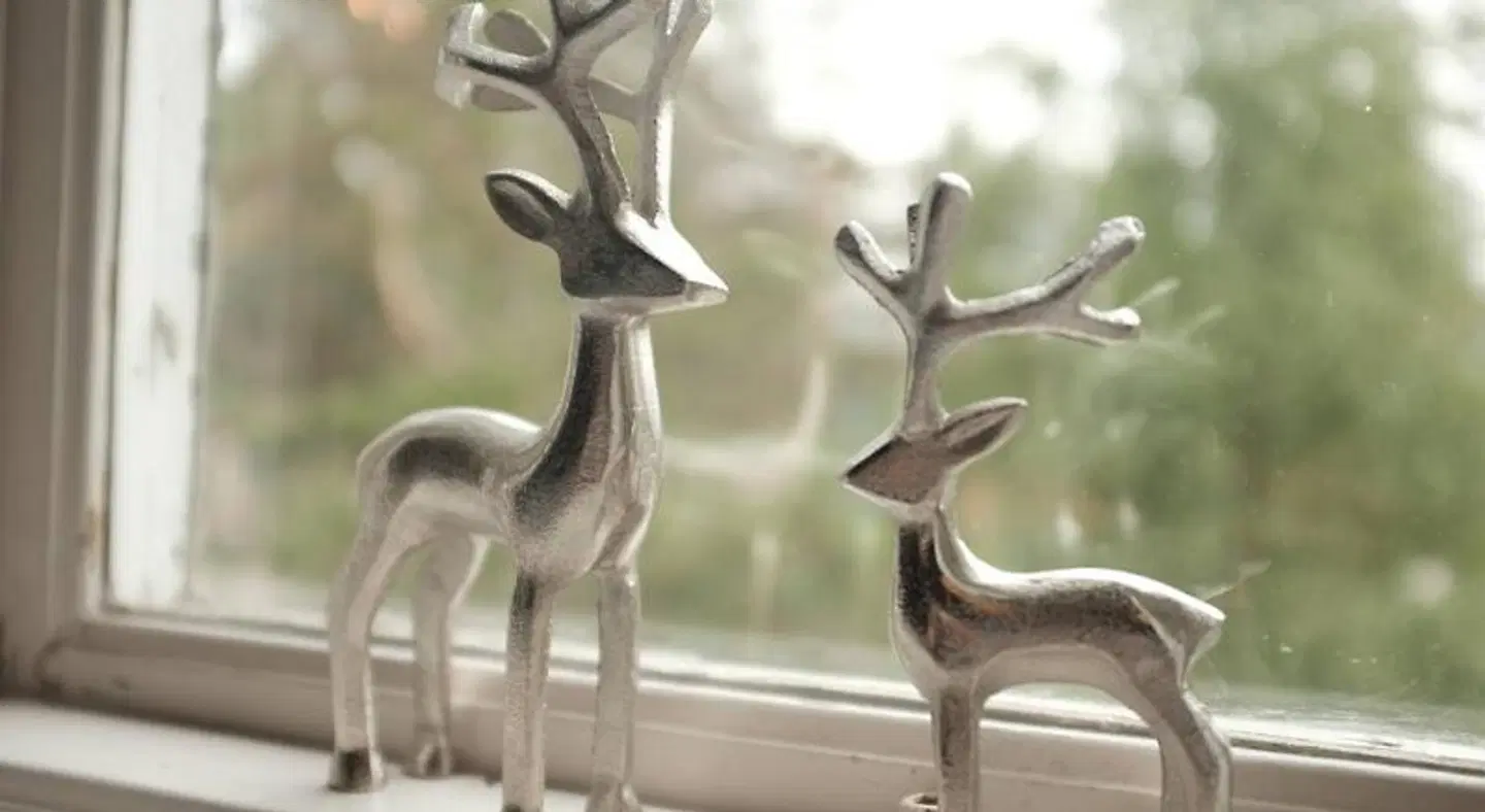 Lapland Lodge Tiere