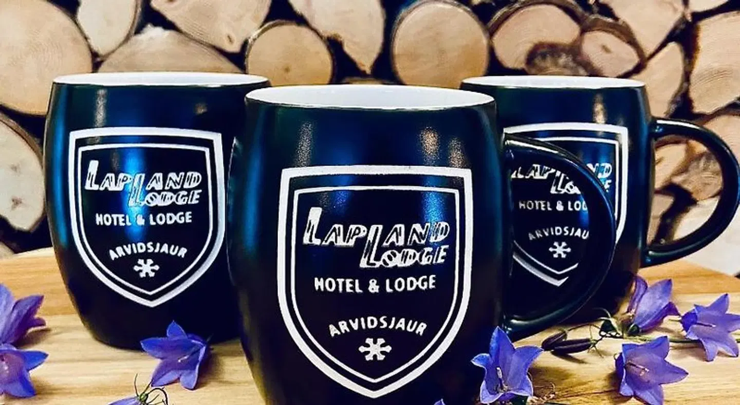 Lapland Lodge Konferenz