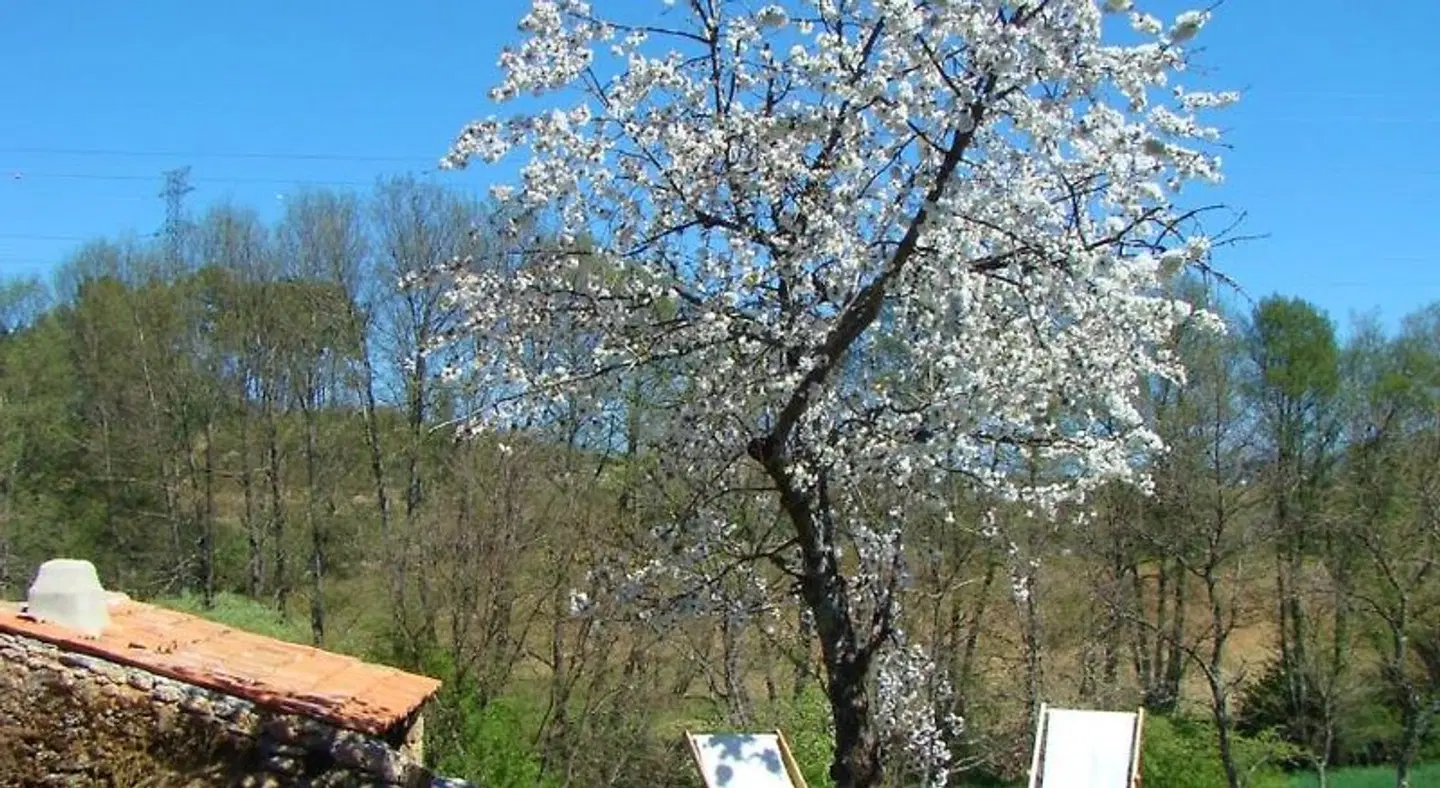 Quinta de Seves LANDSCAPE